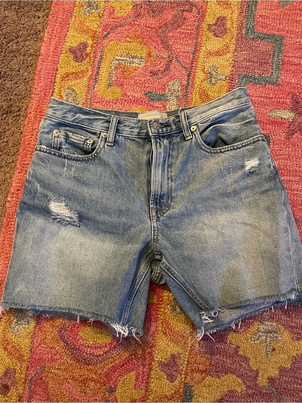everlane Distressed VCutoff Denim Shorts size 27